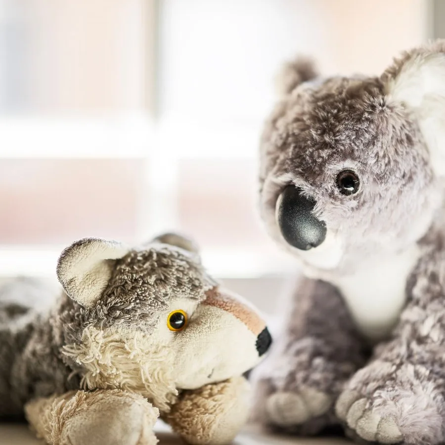 Boneka koala dan boneka serigala berbulu lembut